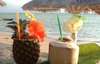 Milky Bay Resort 